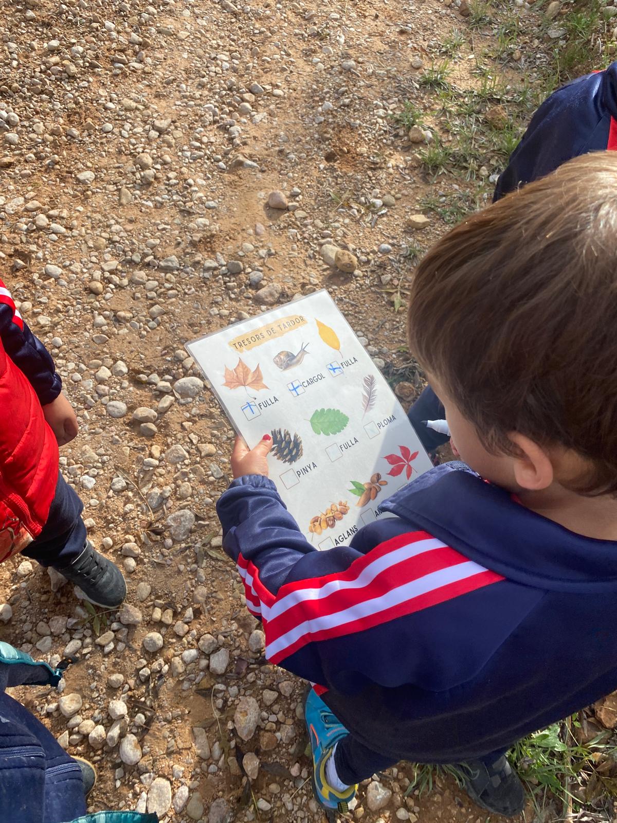 PHOTO-2024-11-11-13-14-22