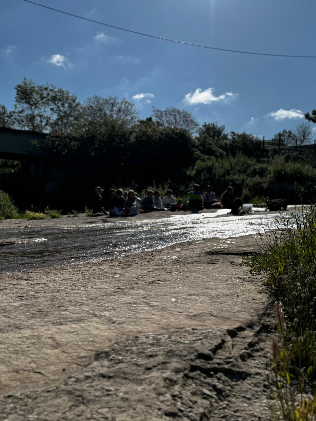 Projecte rius maig 25 (10)