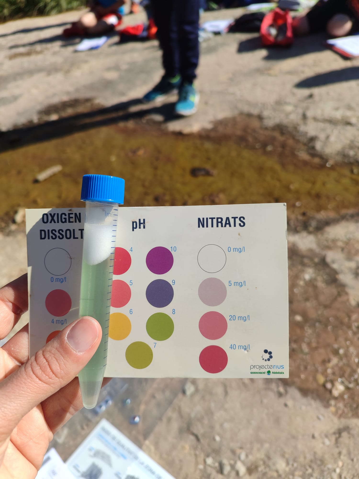 Projecte rius maig 25 (6)