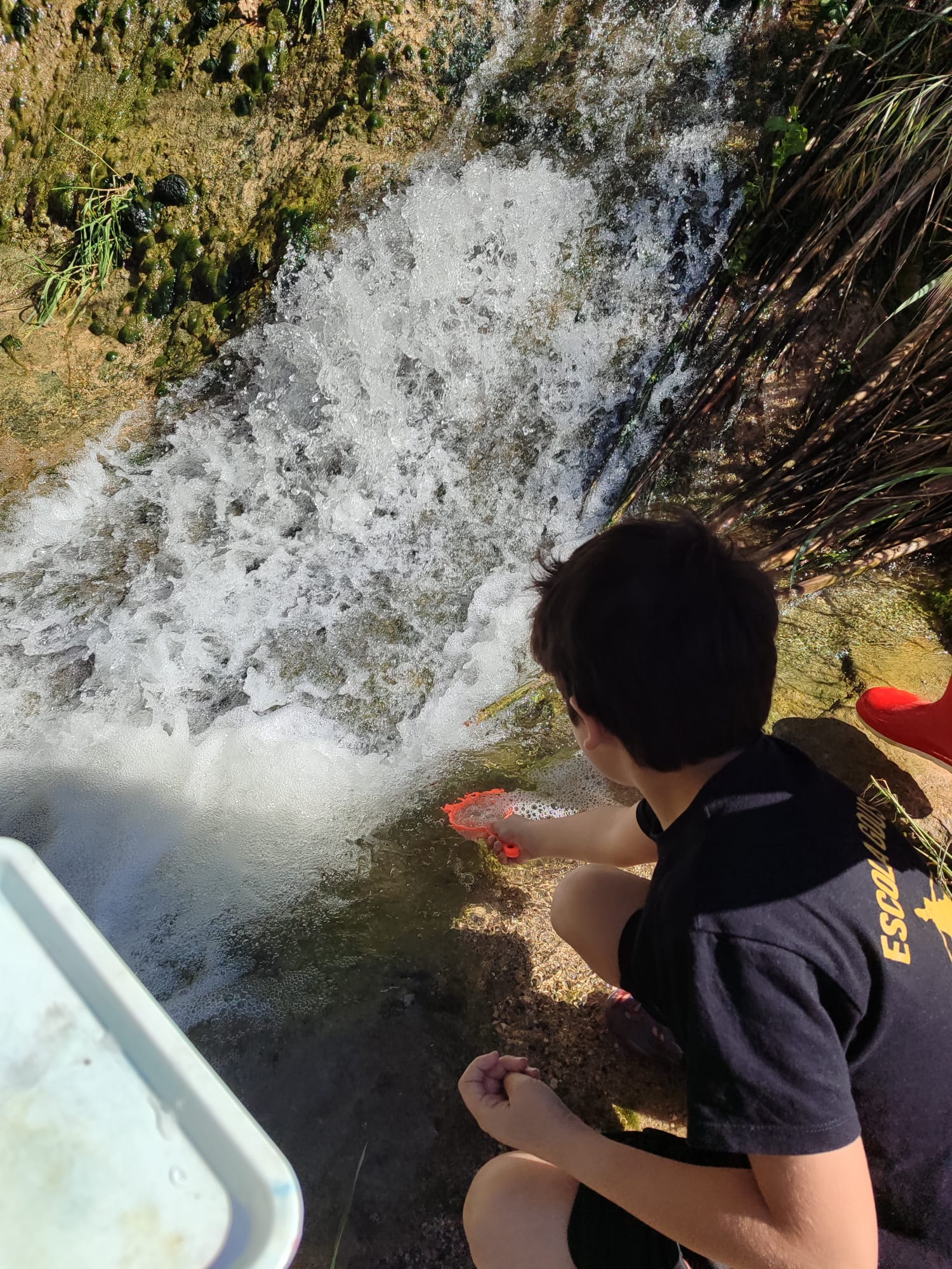 Projecte rius maig 25 (7)