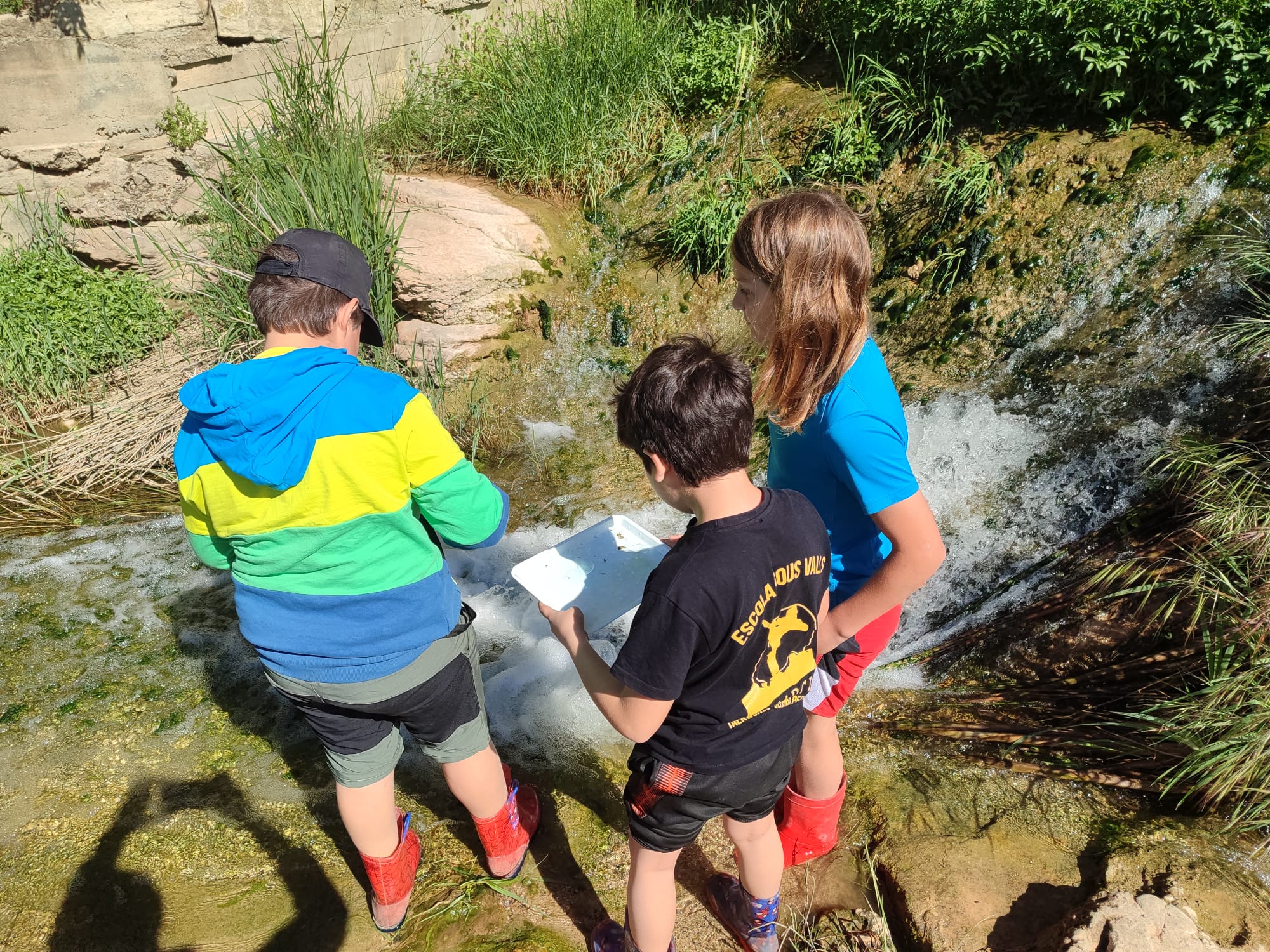 Projecte rius maig 25 (9)