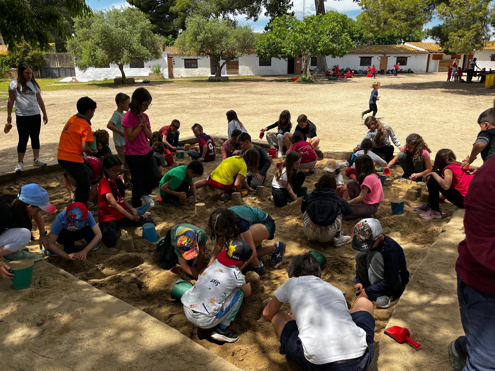 WhatsApp Image 2025-05-17 at 10.53.26