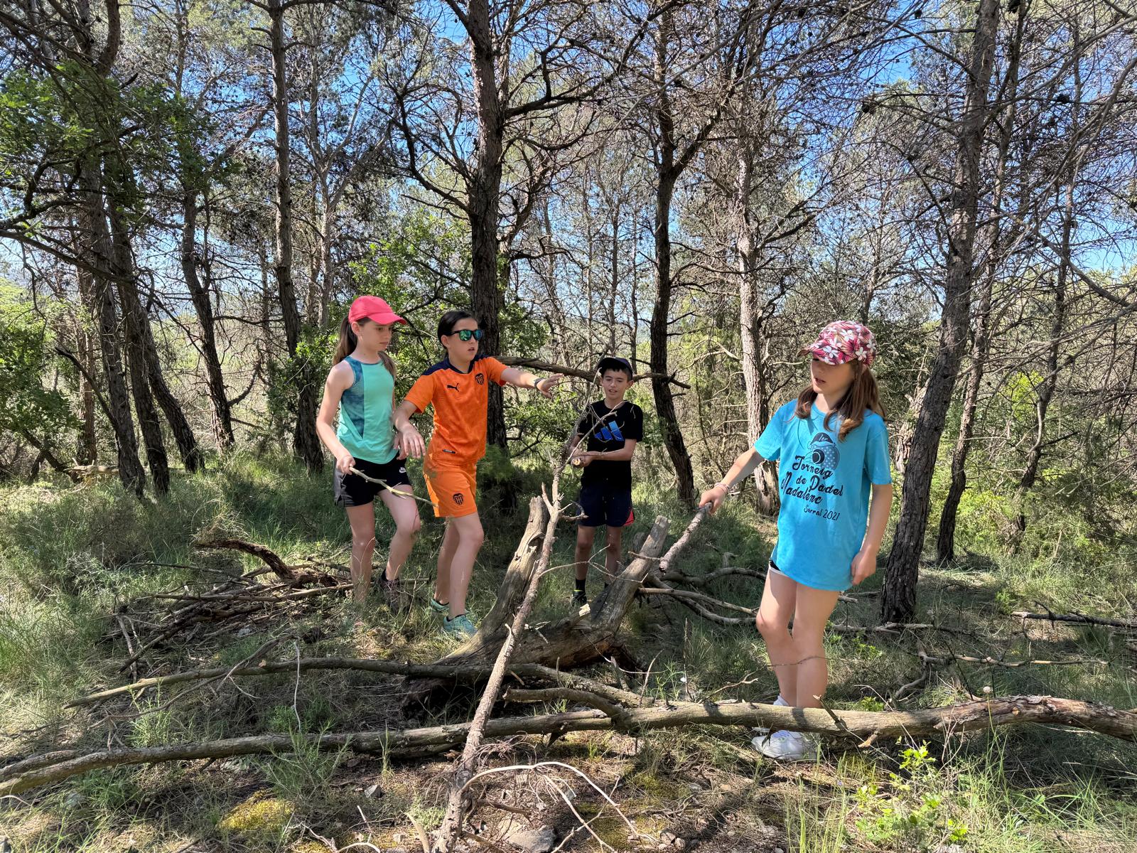 WhatsApp Image 2025-05-31 at 11.17.03 (1)