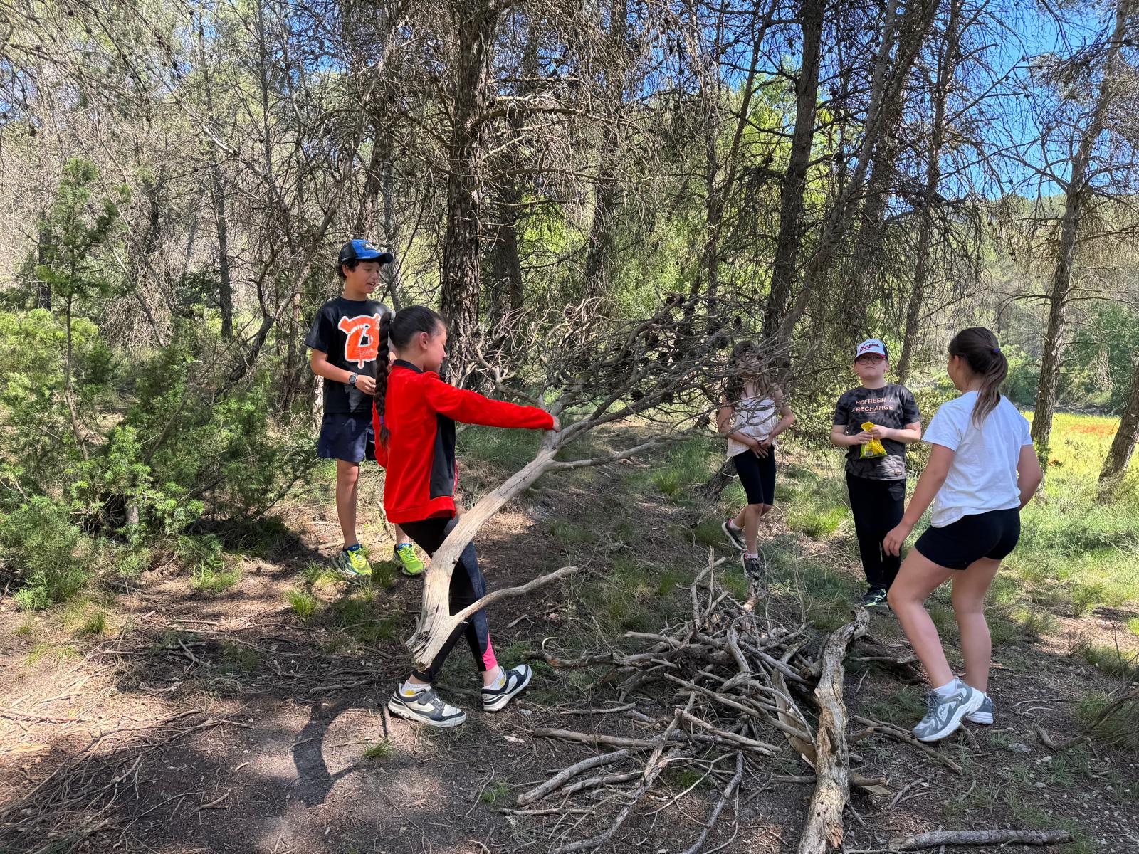 WhatsApp Image 2025-05-31 at 11.17.03 (2)