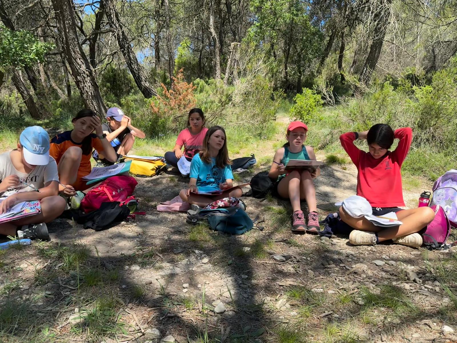 WhatsApp Image 2025-05-31 at 11.17.03 (3)