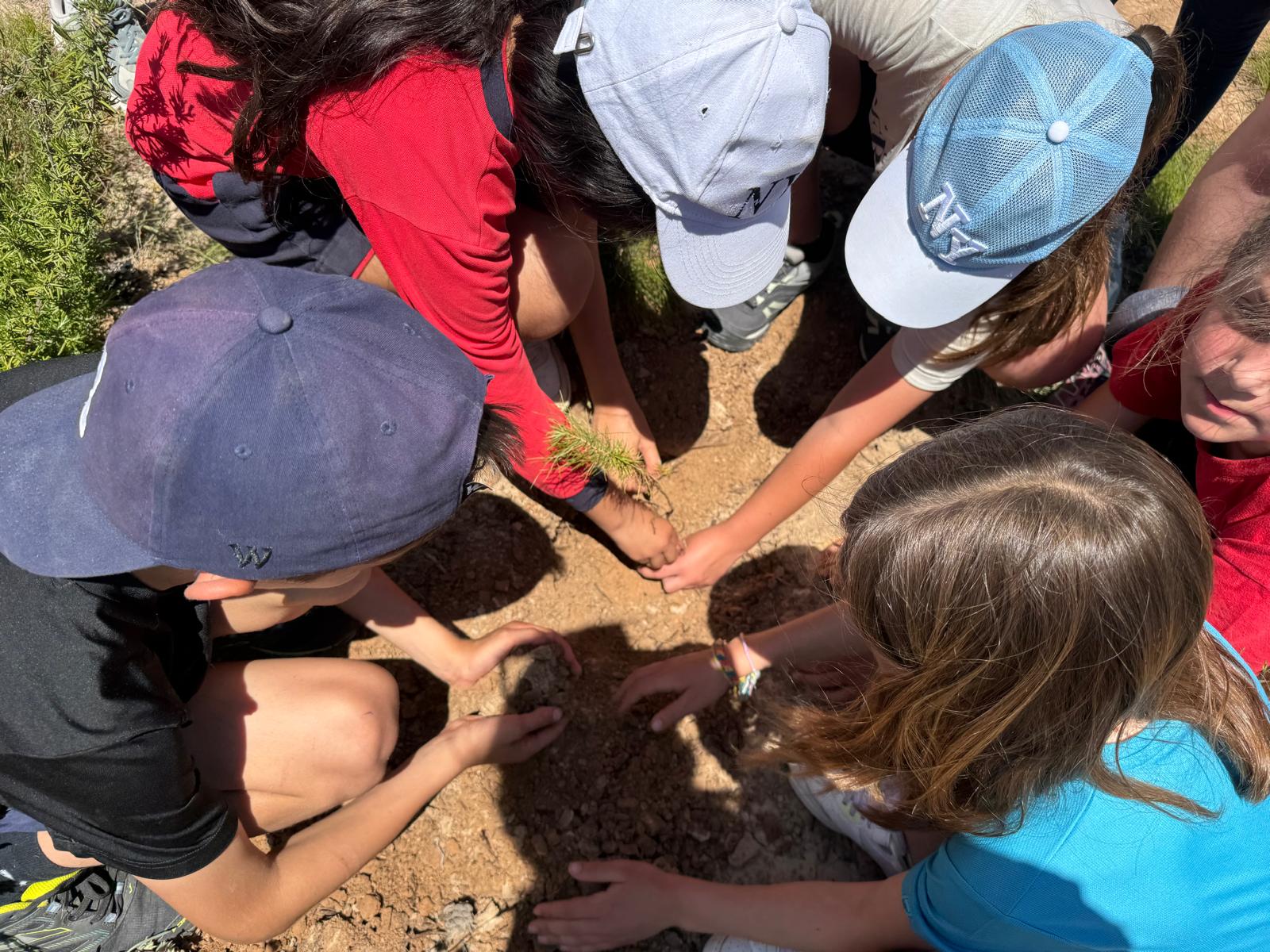 WhatsApp Image 2025-05-31 at 11.17.03 (8)