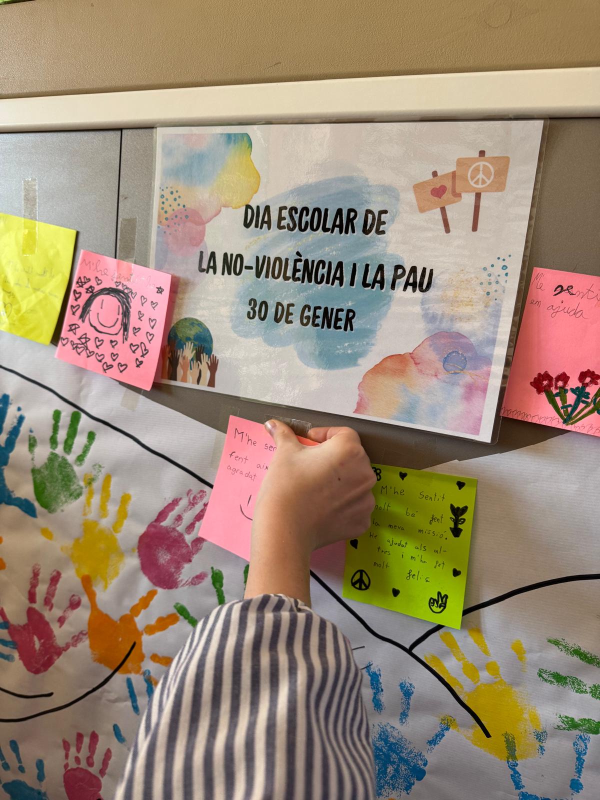 WhatsApp Image 2026-01-30 at 14.35.18 (3) (1)