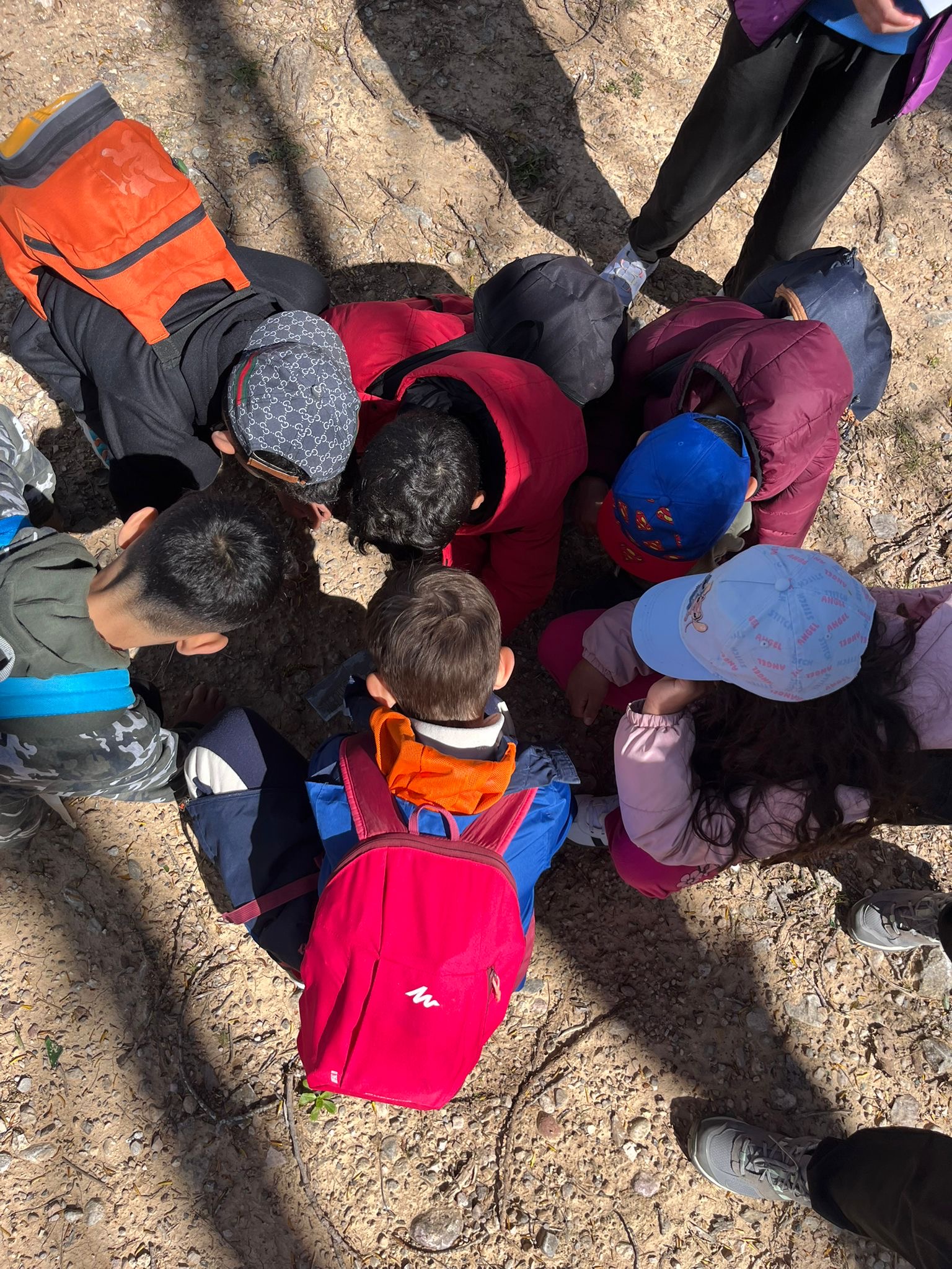 6e5e8d86-0bc8-4995-99ba-20c0b17ae1fb