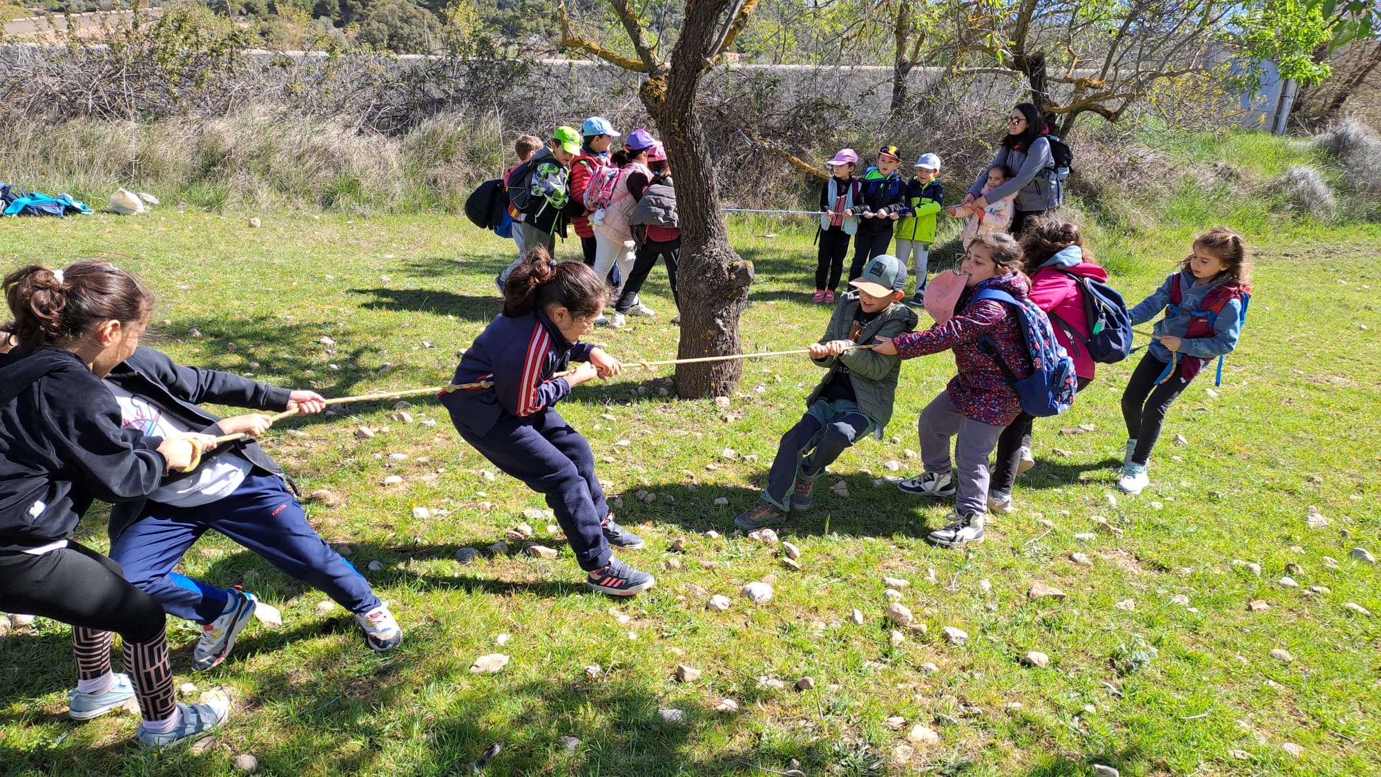 eafe1753-d78d-4fa7-98e5-084e01f1ad2a