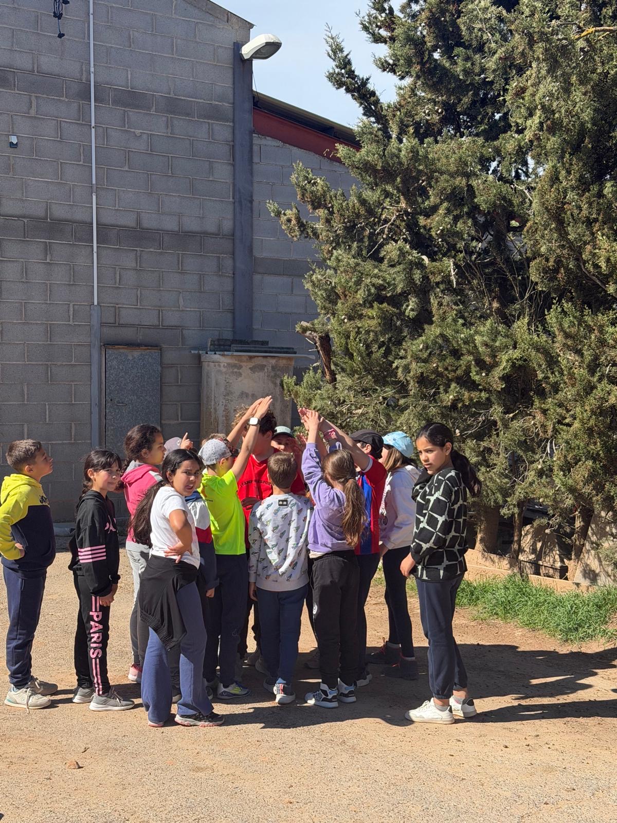 f989c05d-12dc-4b3f-b385-6e5be82e9eb4