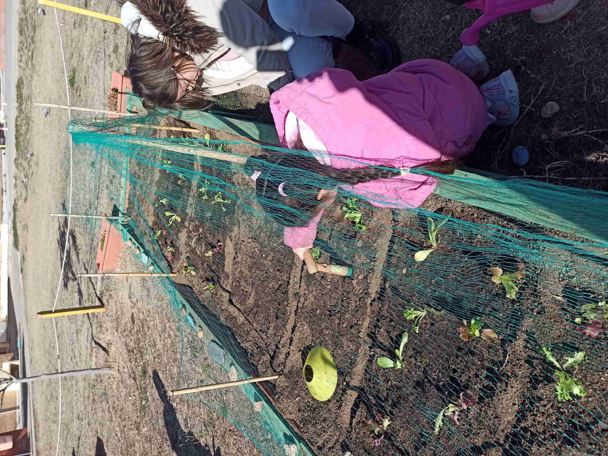 IMG_20240118_121412-min