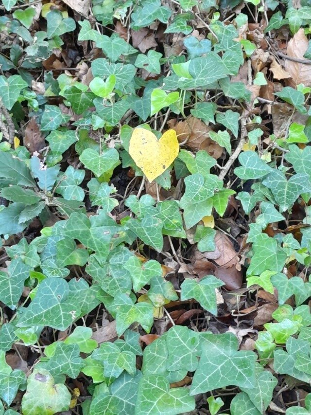 La Cot_i4-4t_Maig 24 (105)