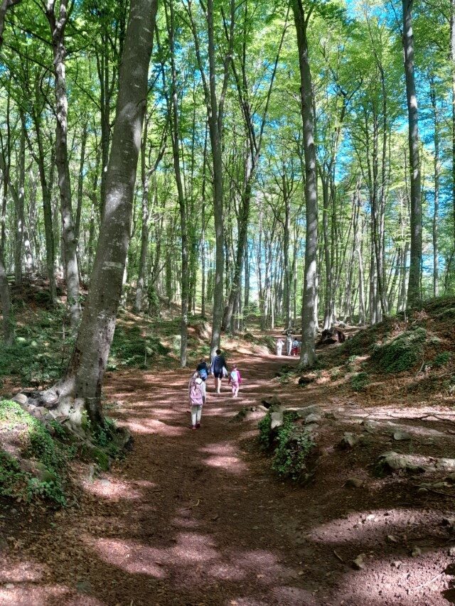 La Cot_i4-4t_Maig 24 (106)