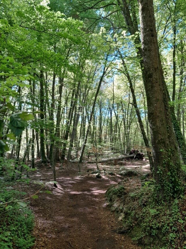 La Cot_i4-4t_Maig 24 (108)