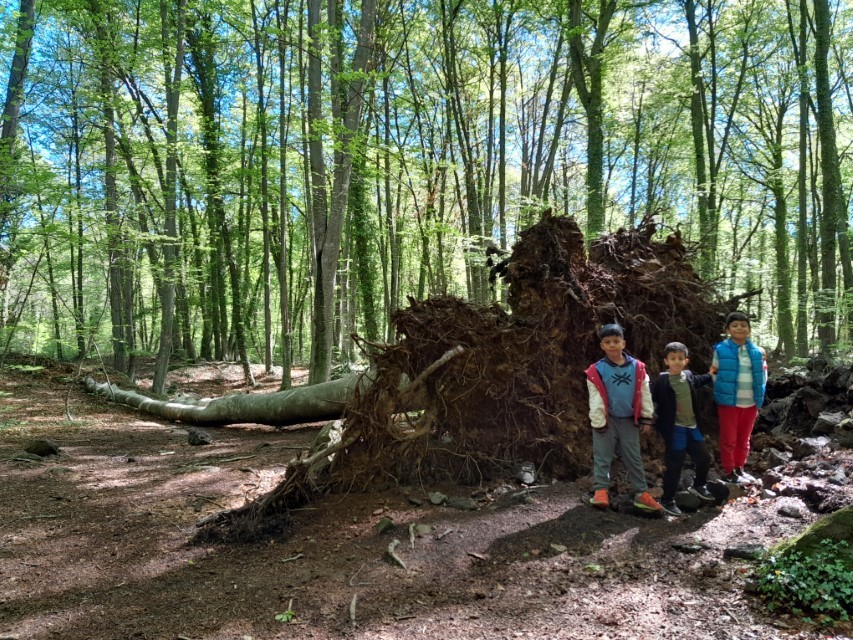 La Cot_i4-4t_Maig 24 (116)