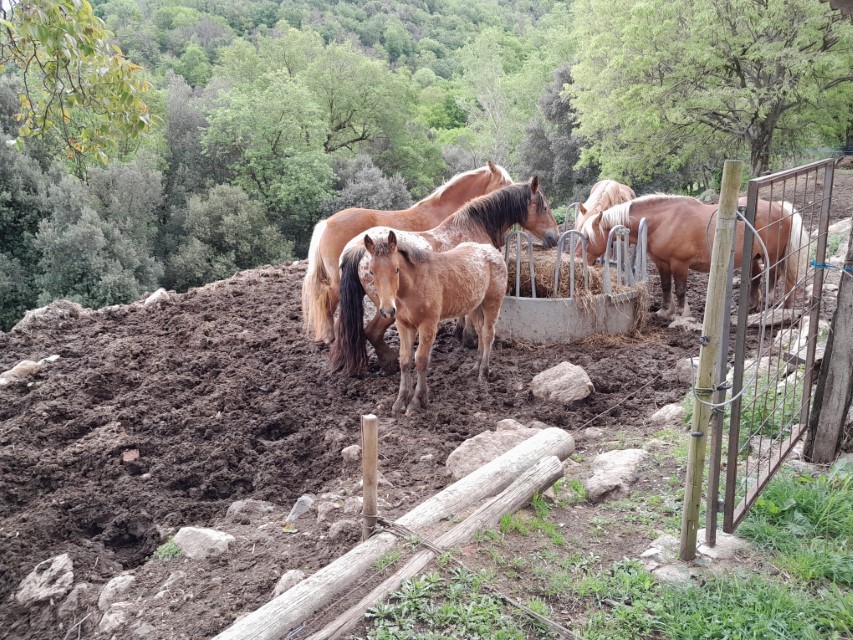 La Cot_i4-4t_Maig 24 (25)