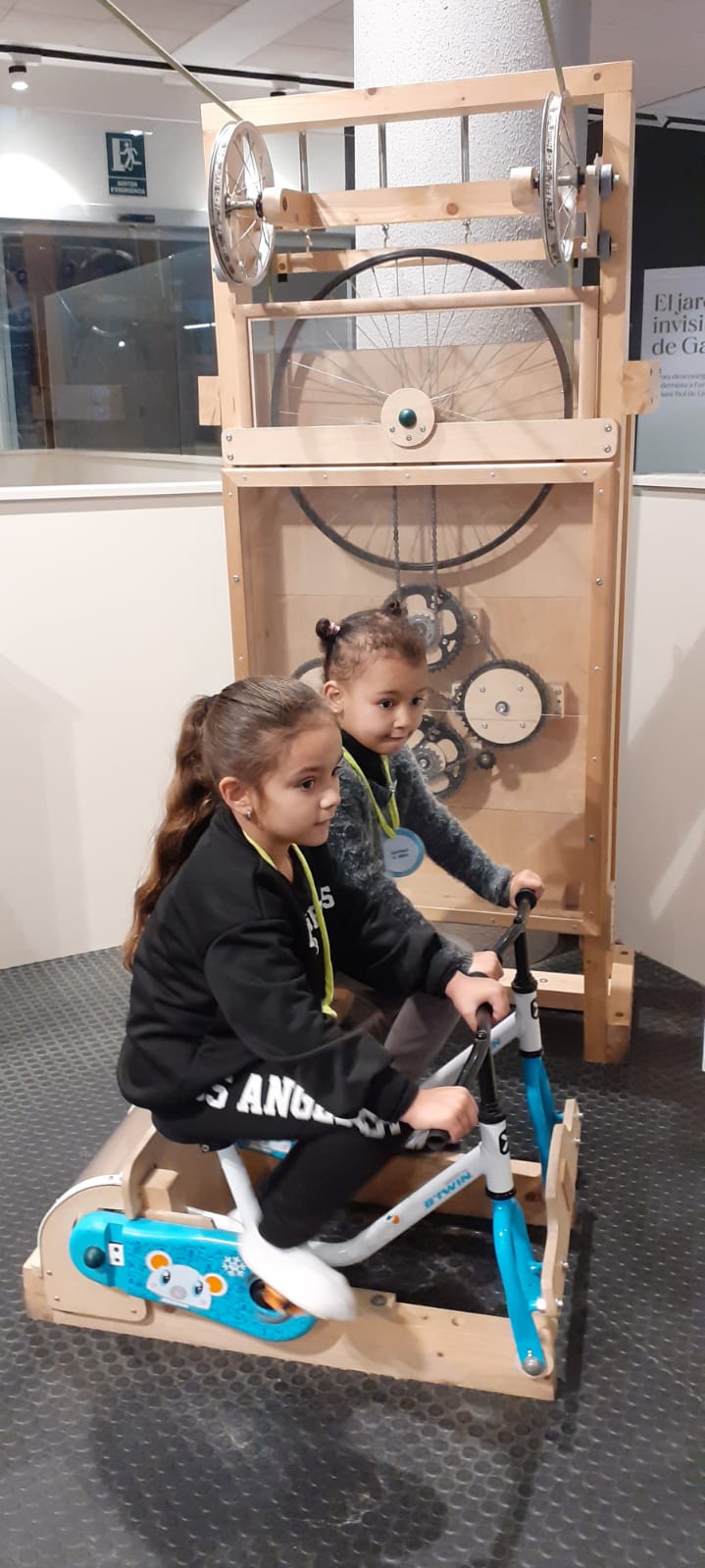 WhatsApp Image 2024-12-03 at 13.17.49