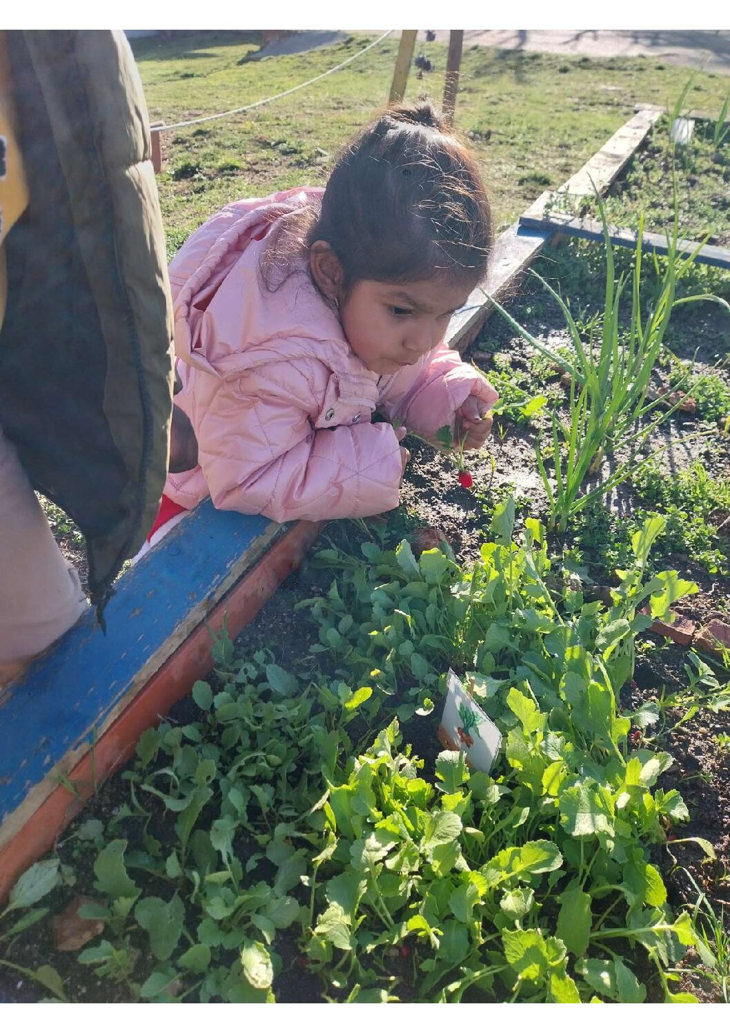 20250226_164549_compressed (1)