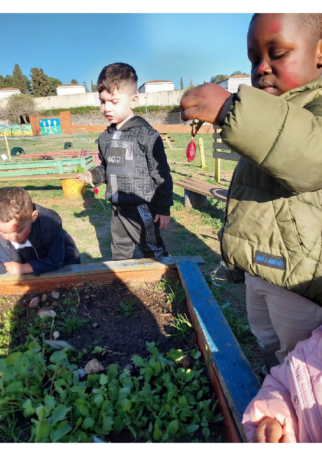 20250226_164623_compressed