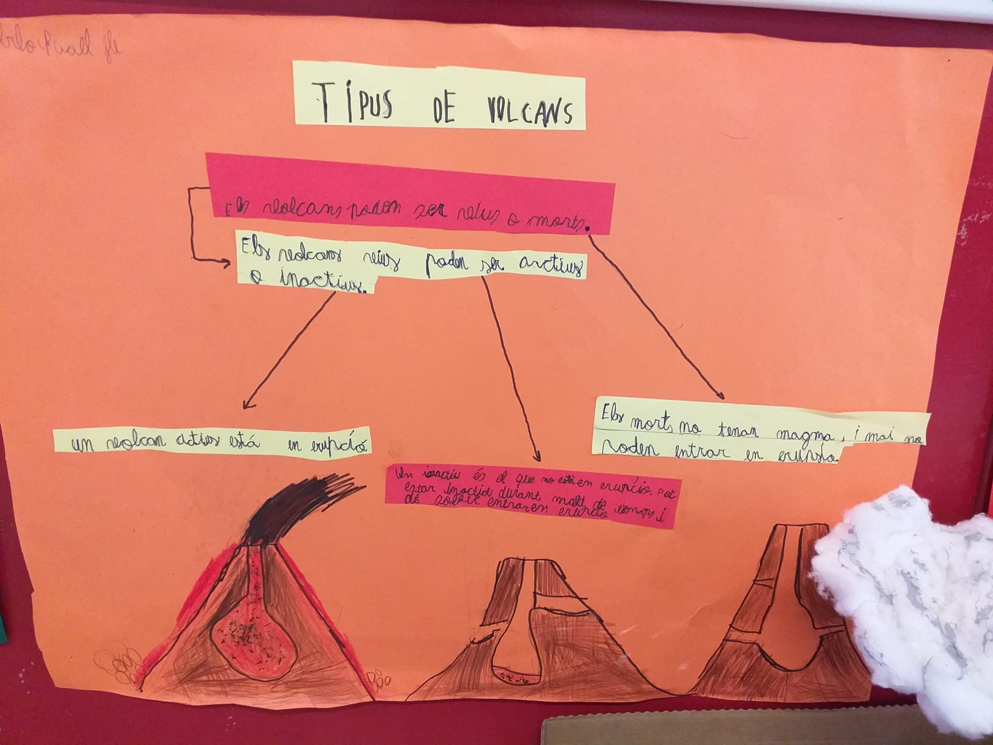 WhatsApp Image 2021-11-15 at 09.18.53