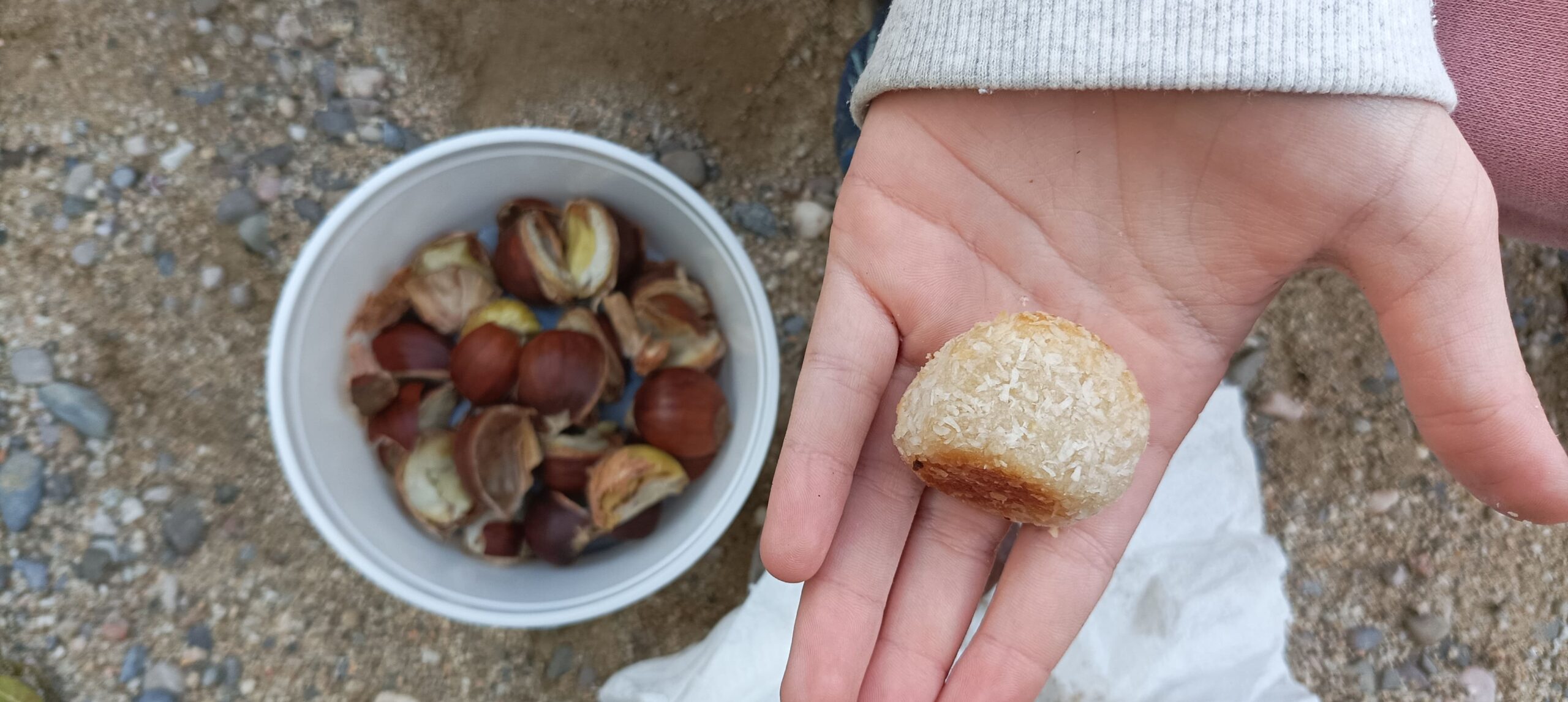 castanyes i panellets