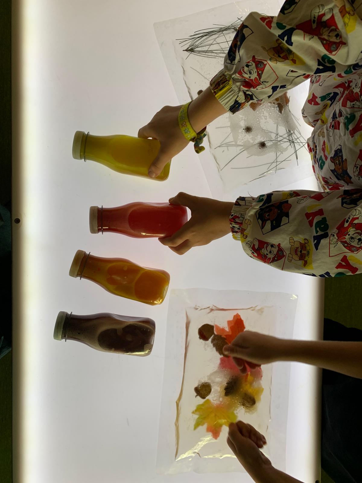 tardor a com. de petits9