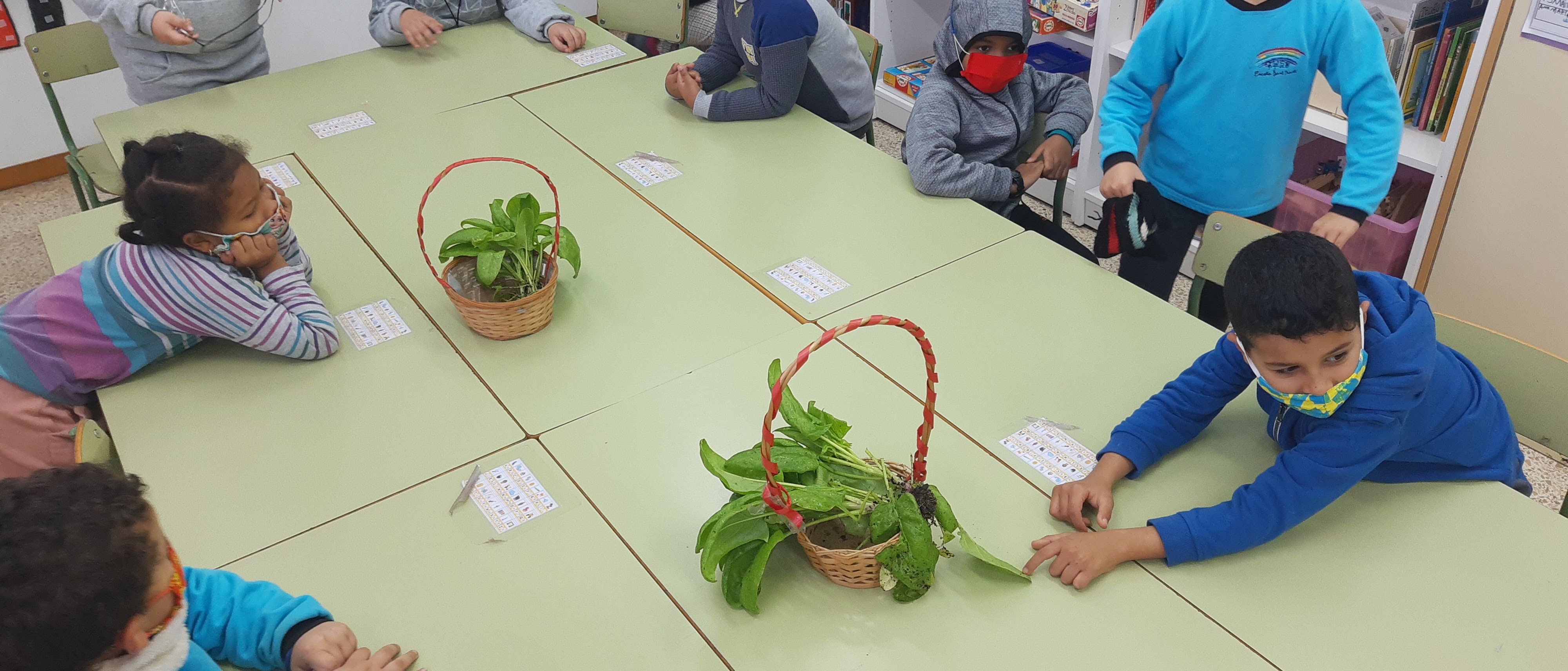 IMG_20201218_094044603