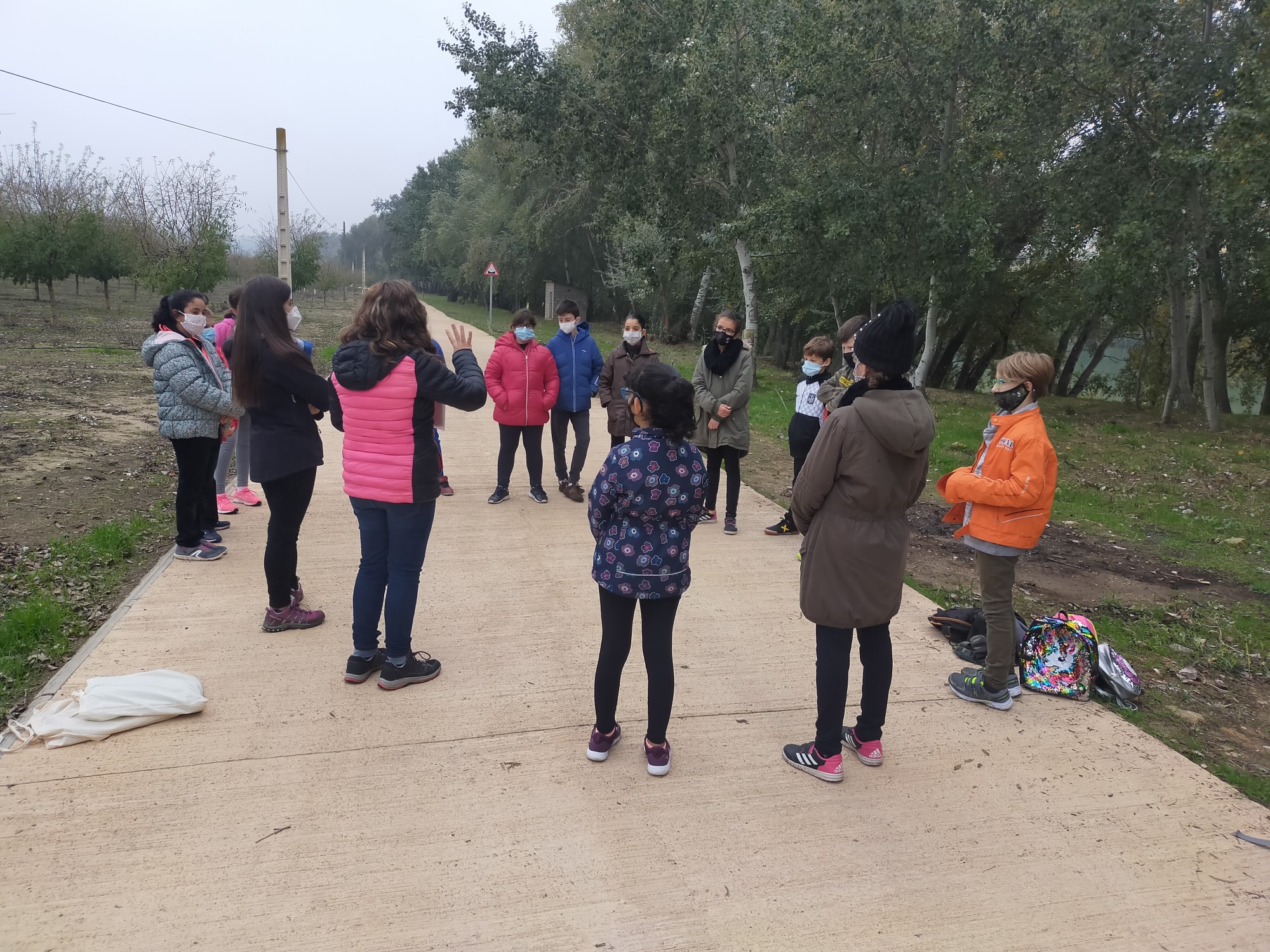 IMG20201113110516 [50%]