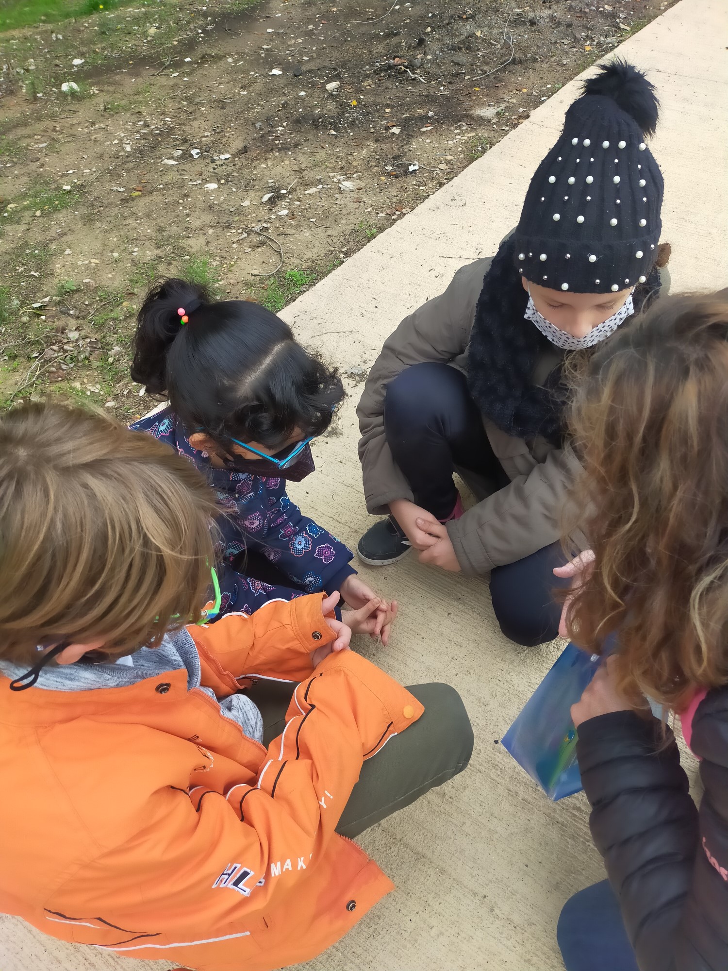 IMG20201113111437 [50%]