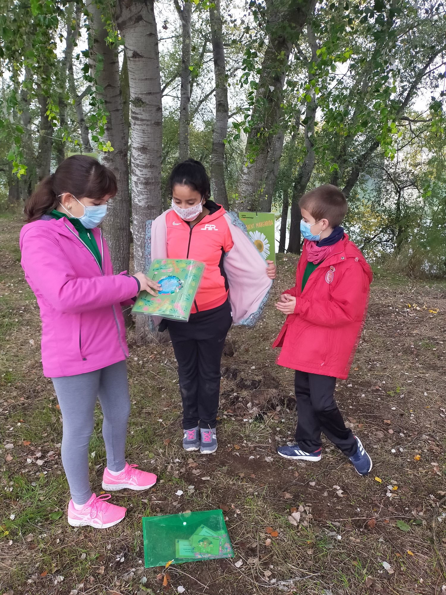 IMG20201113112827 [50%]