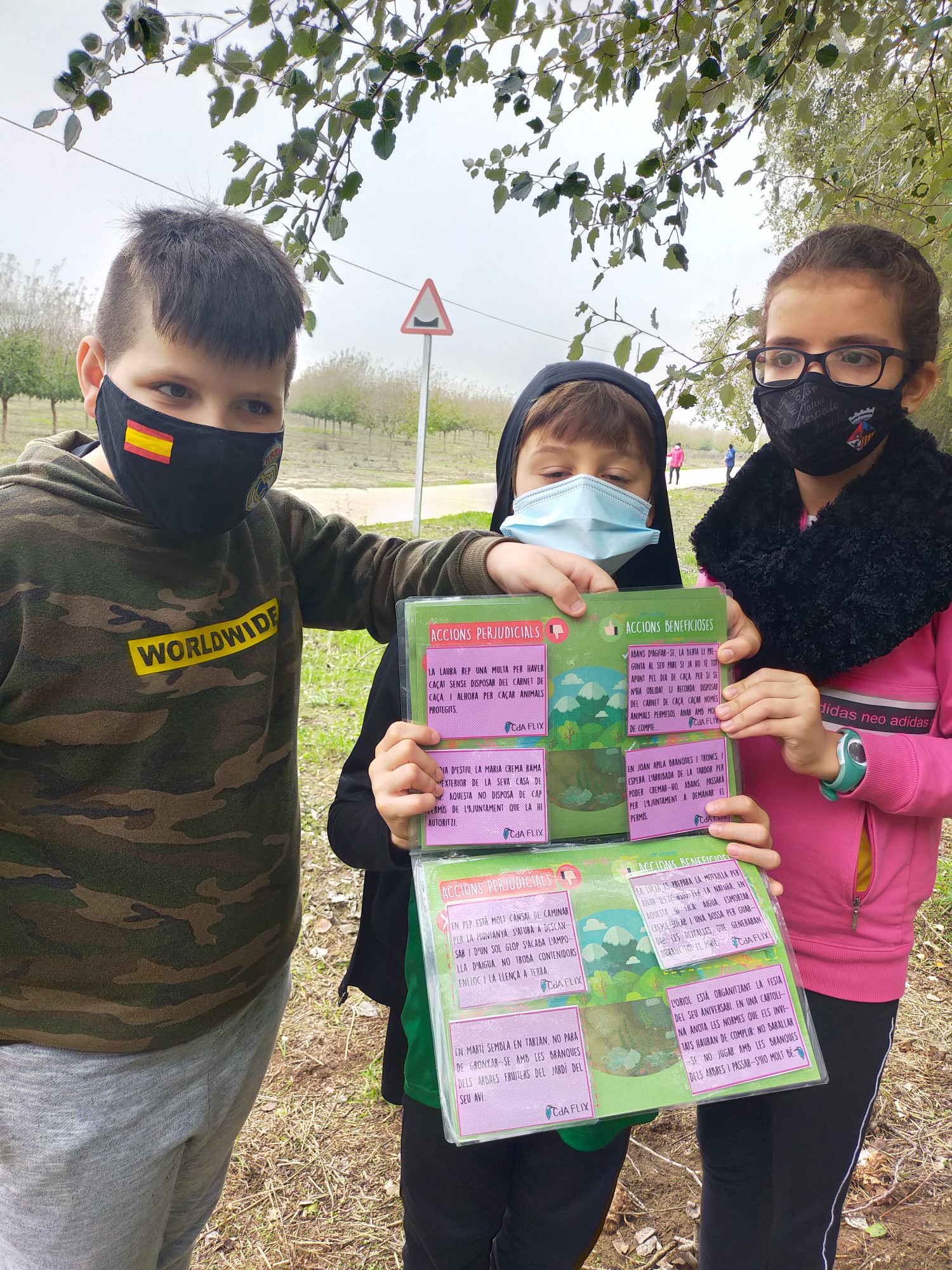 IMG20201113114633 [50%]