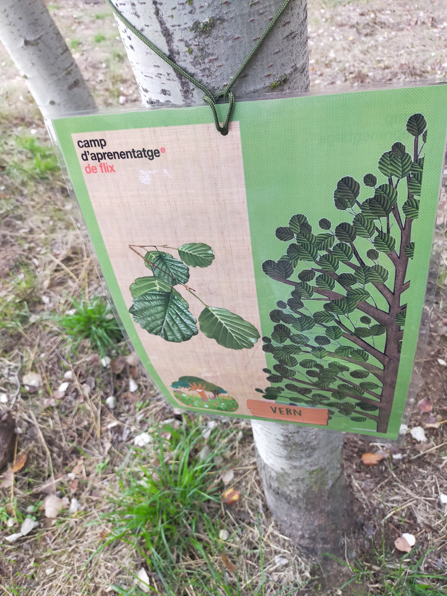 IMG20201113115555 [50%]