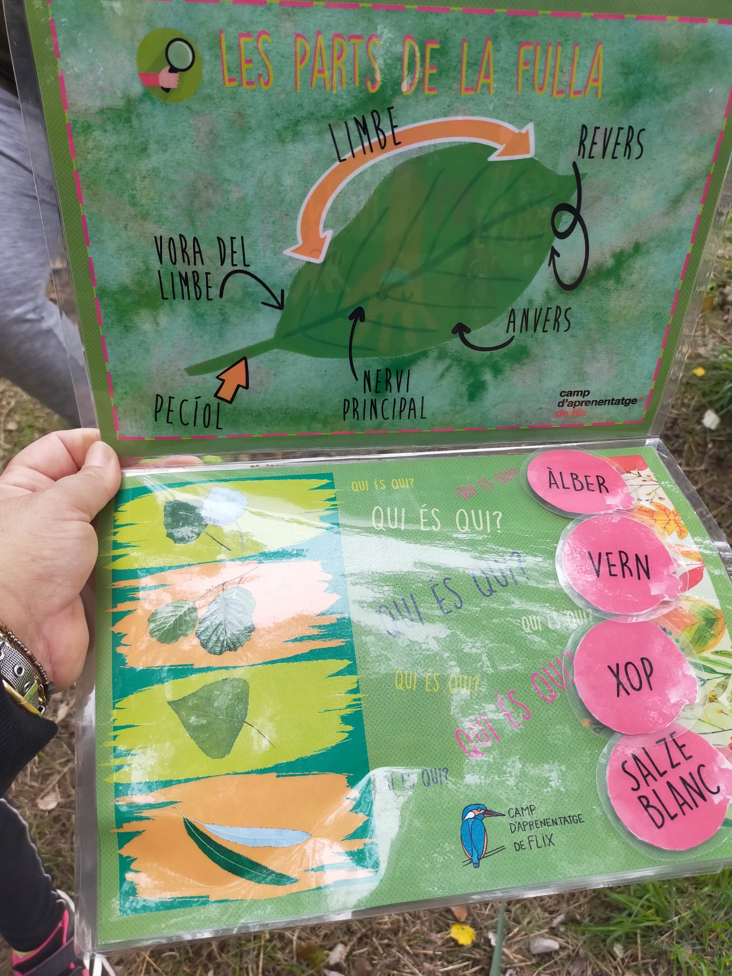 IMG20201113115606 [50%]