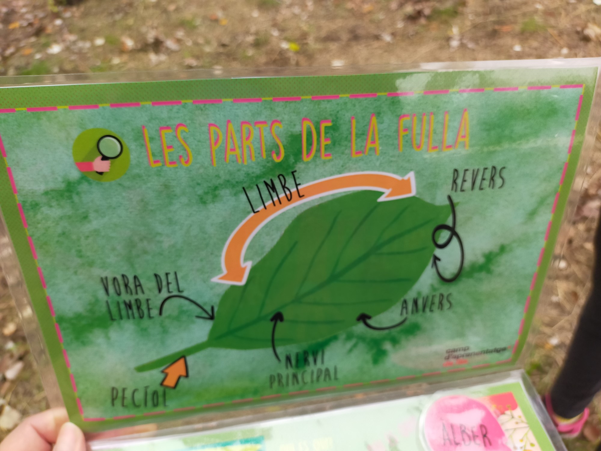 IMG20201113115610 [50%]