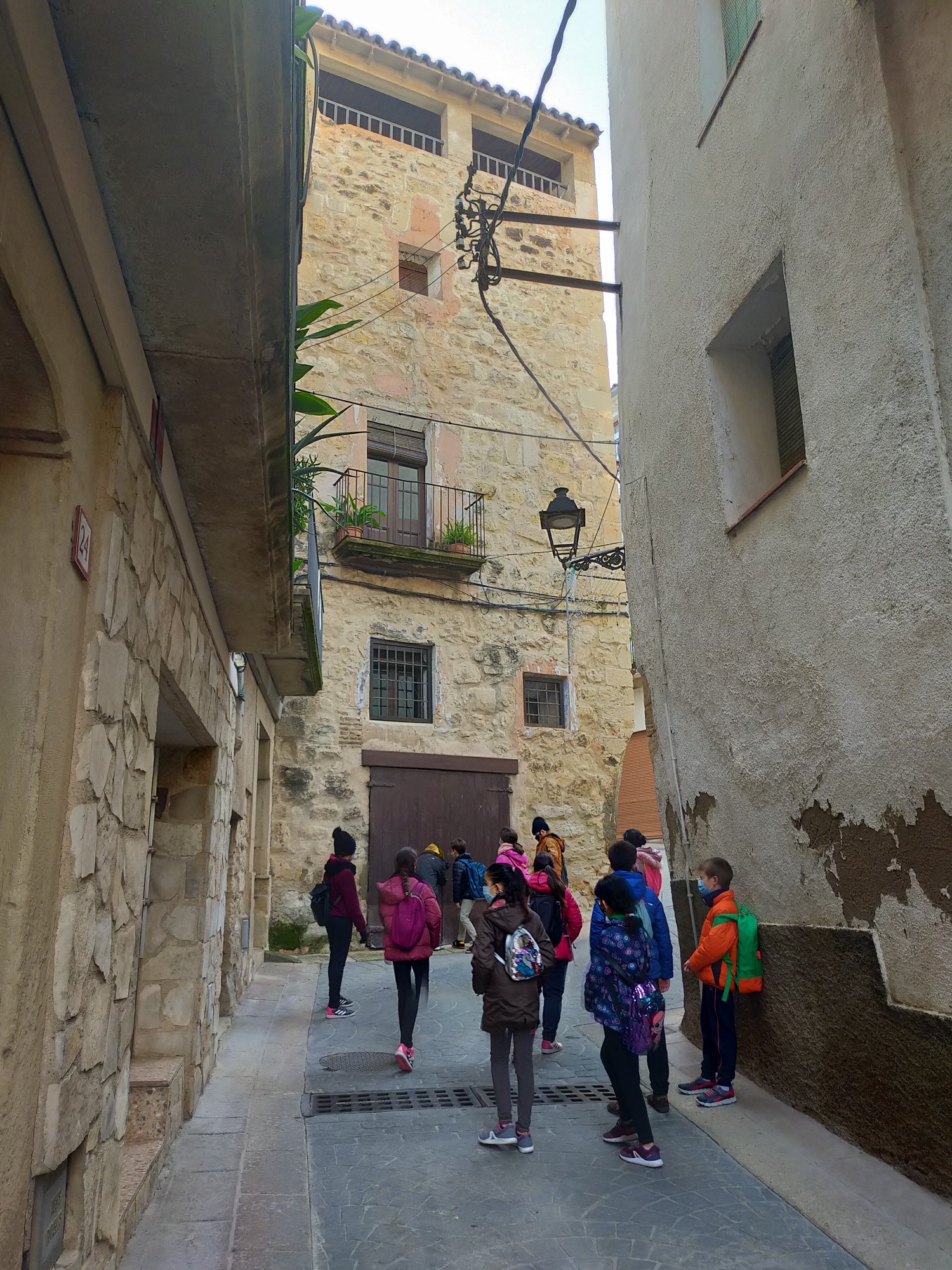 IMG20201201093449 [50%]