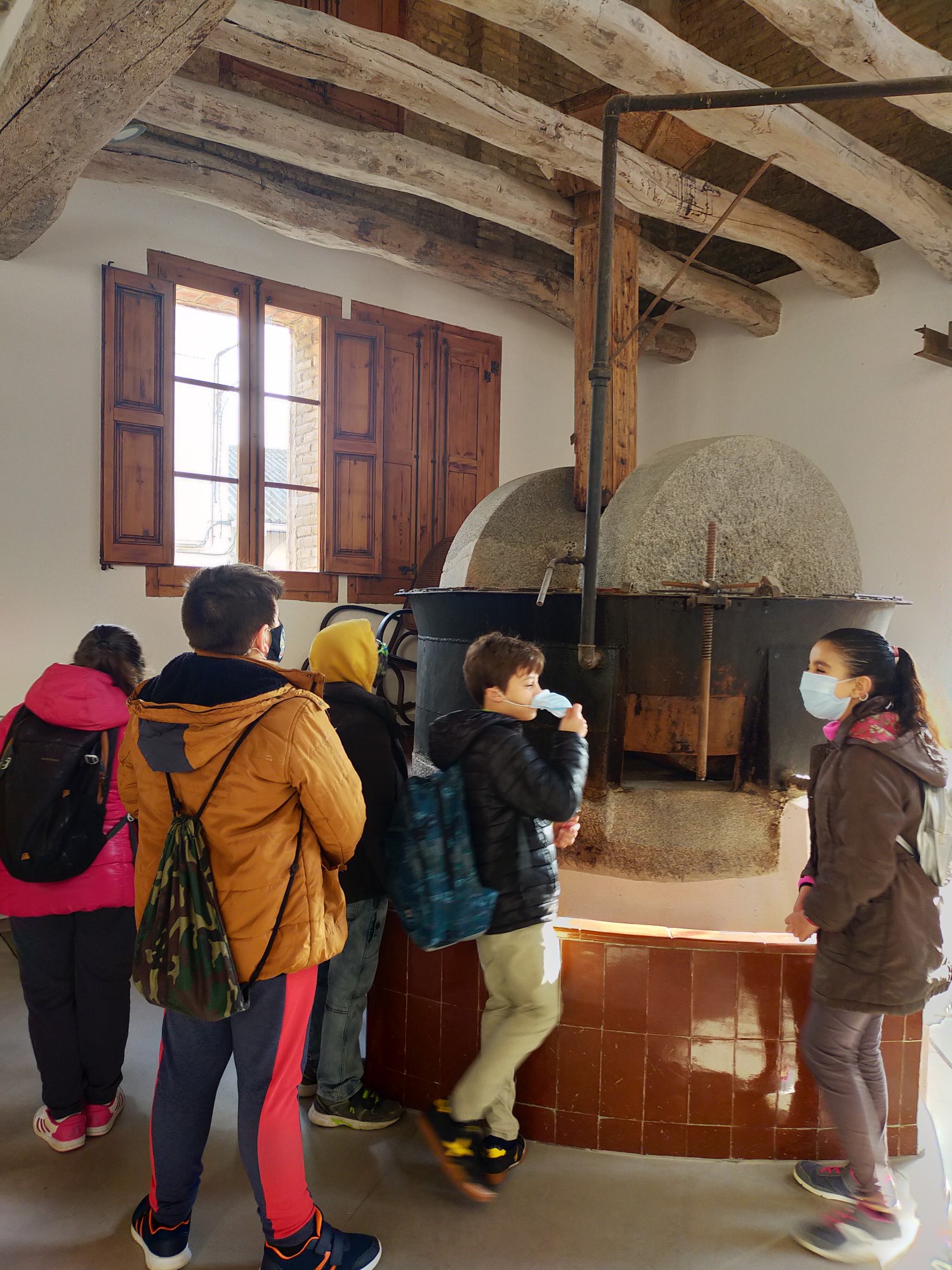 IMG20201201104031 [50%]