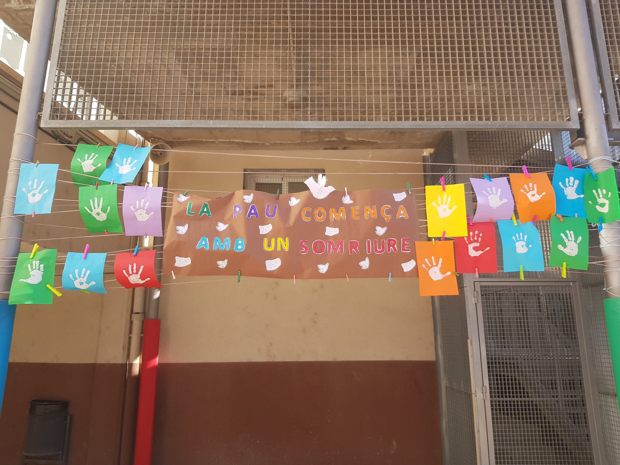 WhatsApp Image 2025-02-03 at 16.04.30 (3)