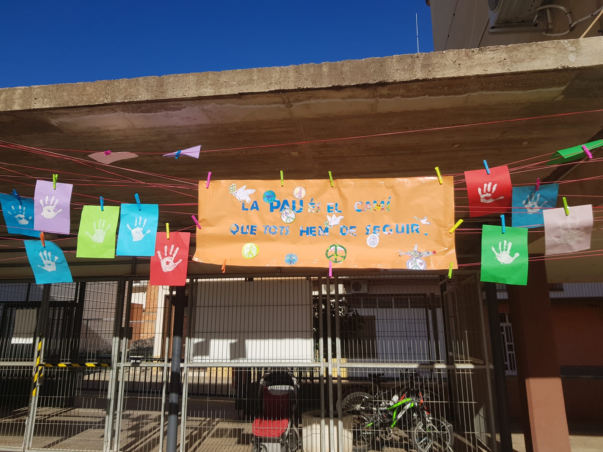 WhatsApp Image 2025-02-03 at 16.04.31