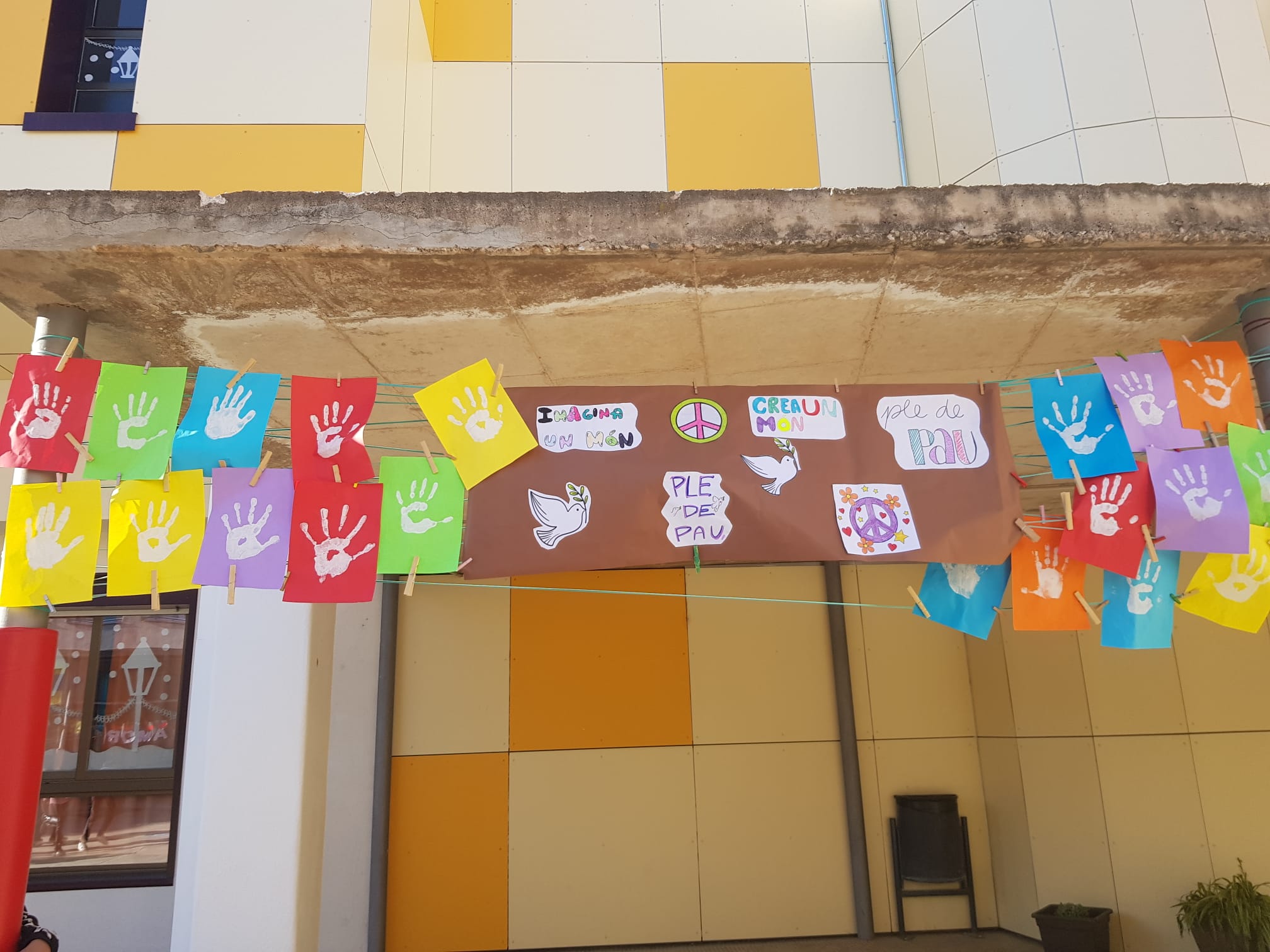 WhatsApp Image 2025-02-03 at 16.04.32