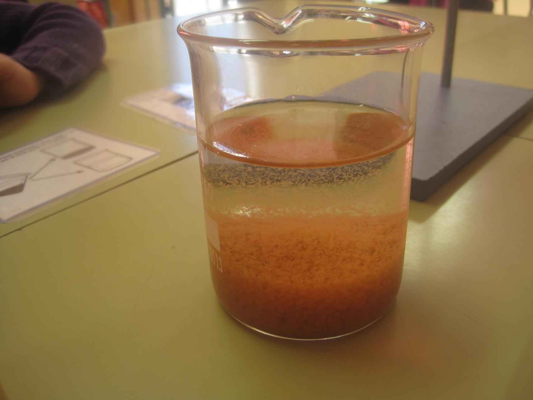 TALLER DE POTABILITZACIÓ DE L'AIGUA | Escola Sant Pere