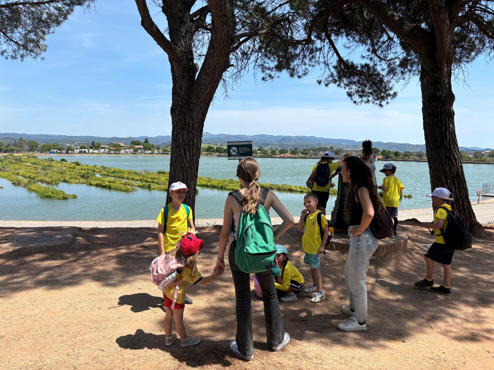 2401fde2-383b-4854-aca9-0eba713fcf3f