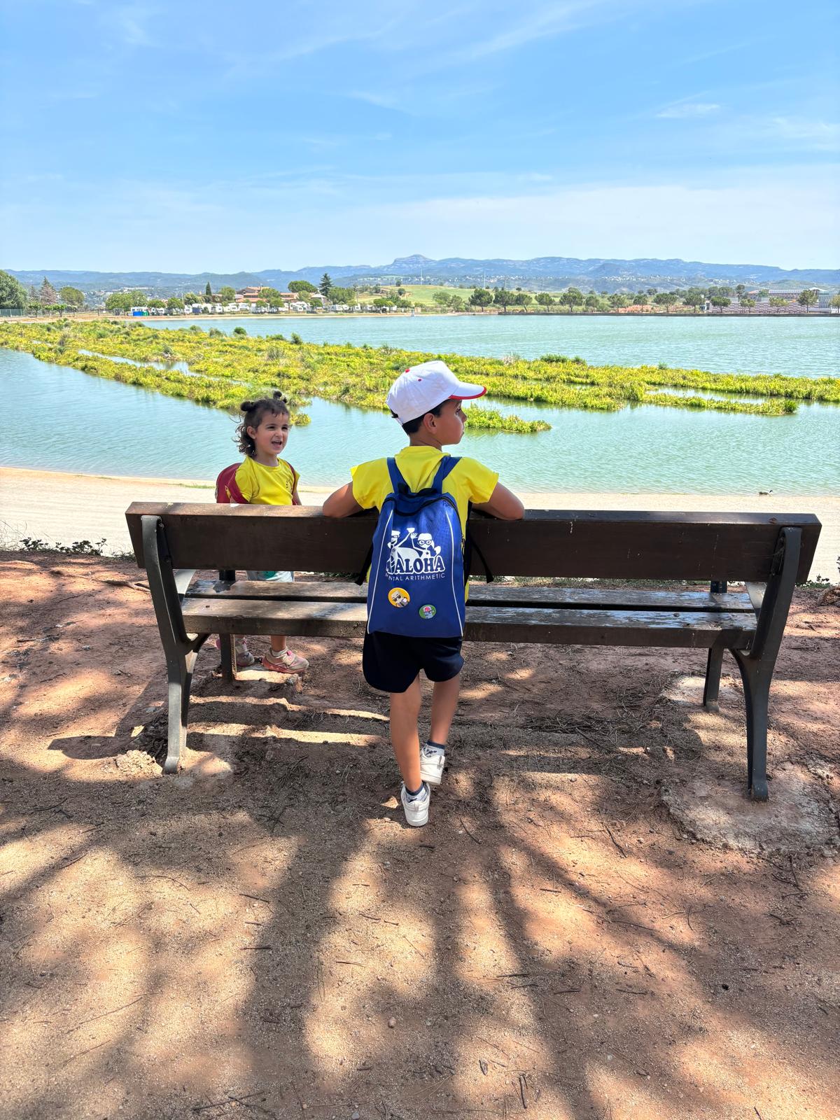 27a93453-023c-4b72-825e-db3277510ade