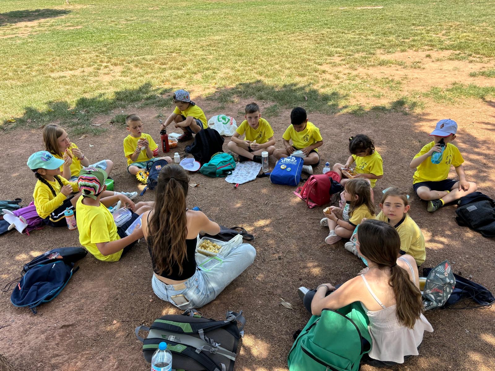 67b996ae-9519-4cde-9a79-2694c2043fb7