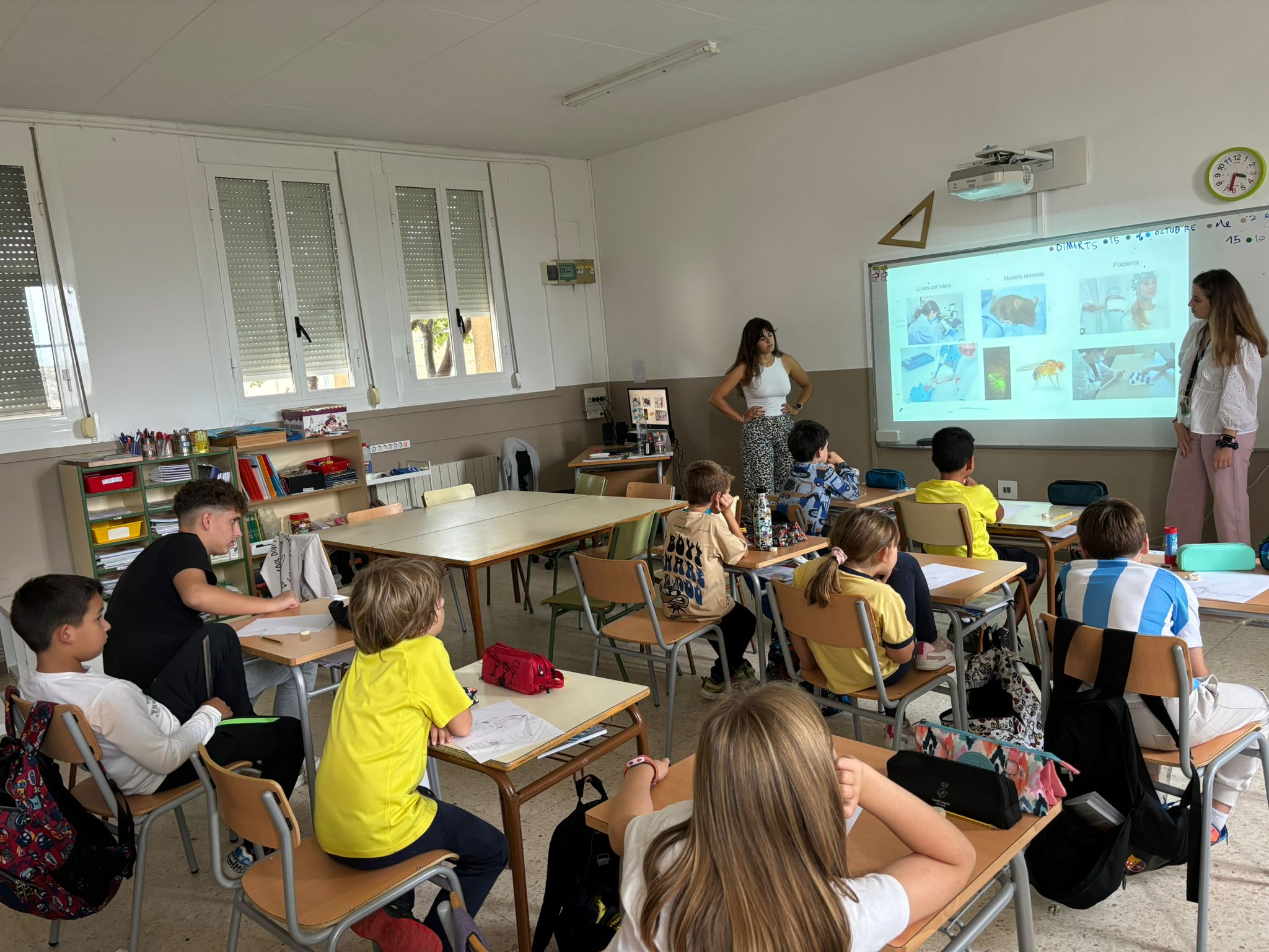 e18c350d-b7c5-4456-a11d-3376be4761b8