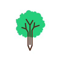 Escola Sentfores –  infantil i primària