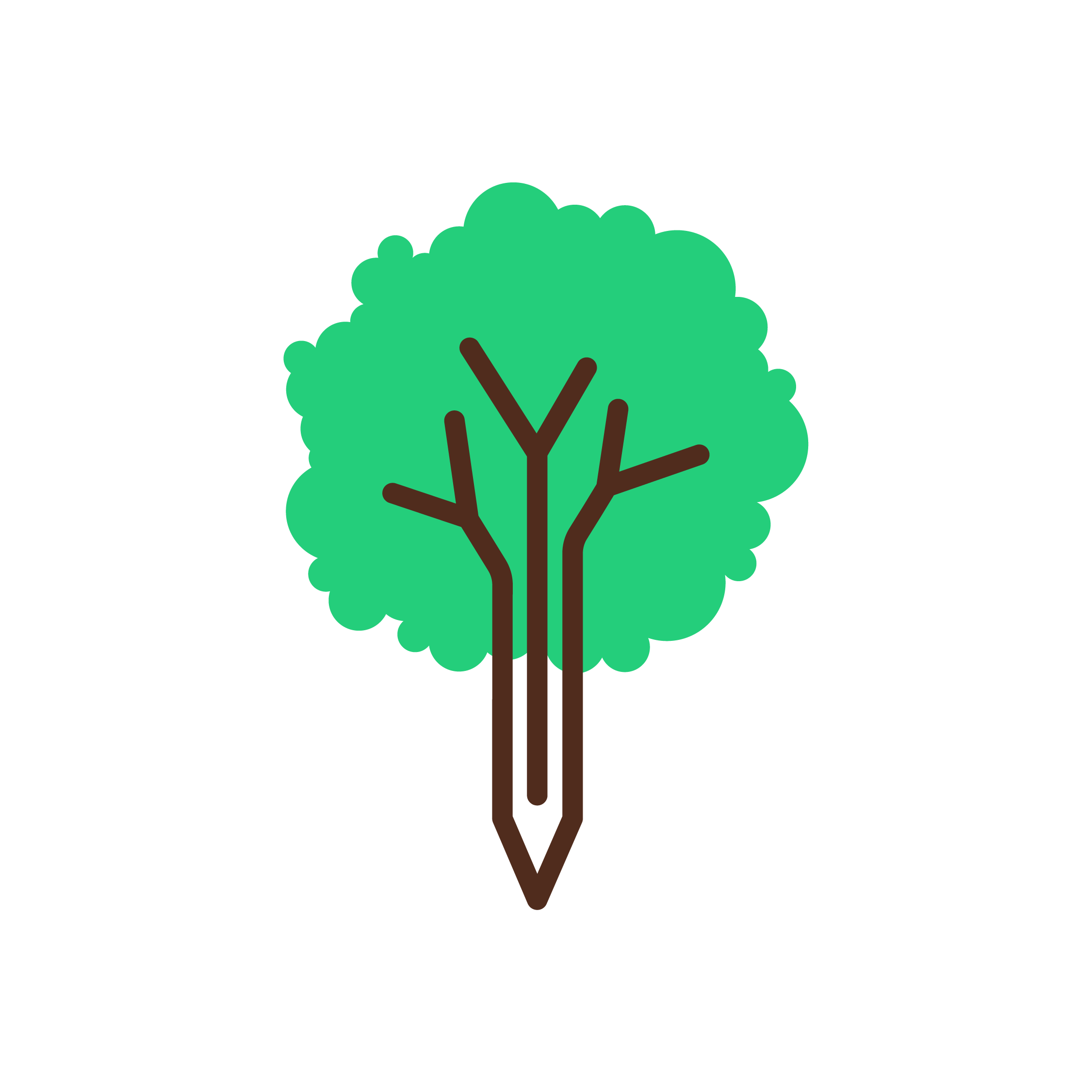 Escola Sentfores -  infantil i primària