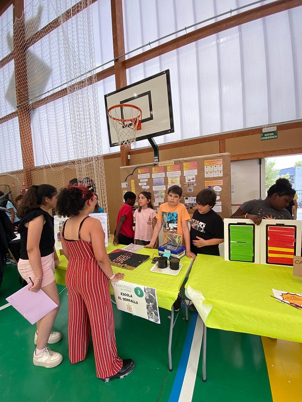 bc69943d-c74e-45df-b352-1c6b1ed0c59b