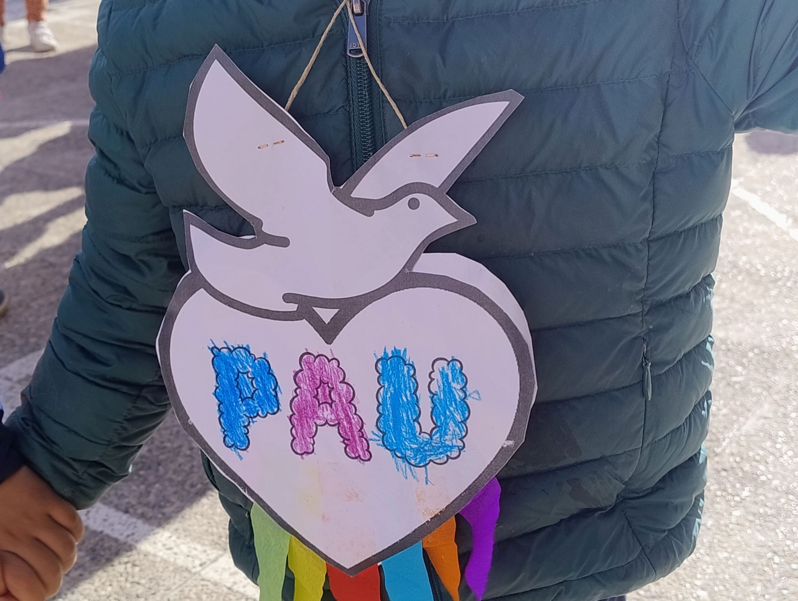 IMG_20250130_115135514_AE