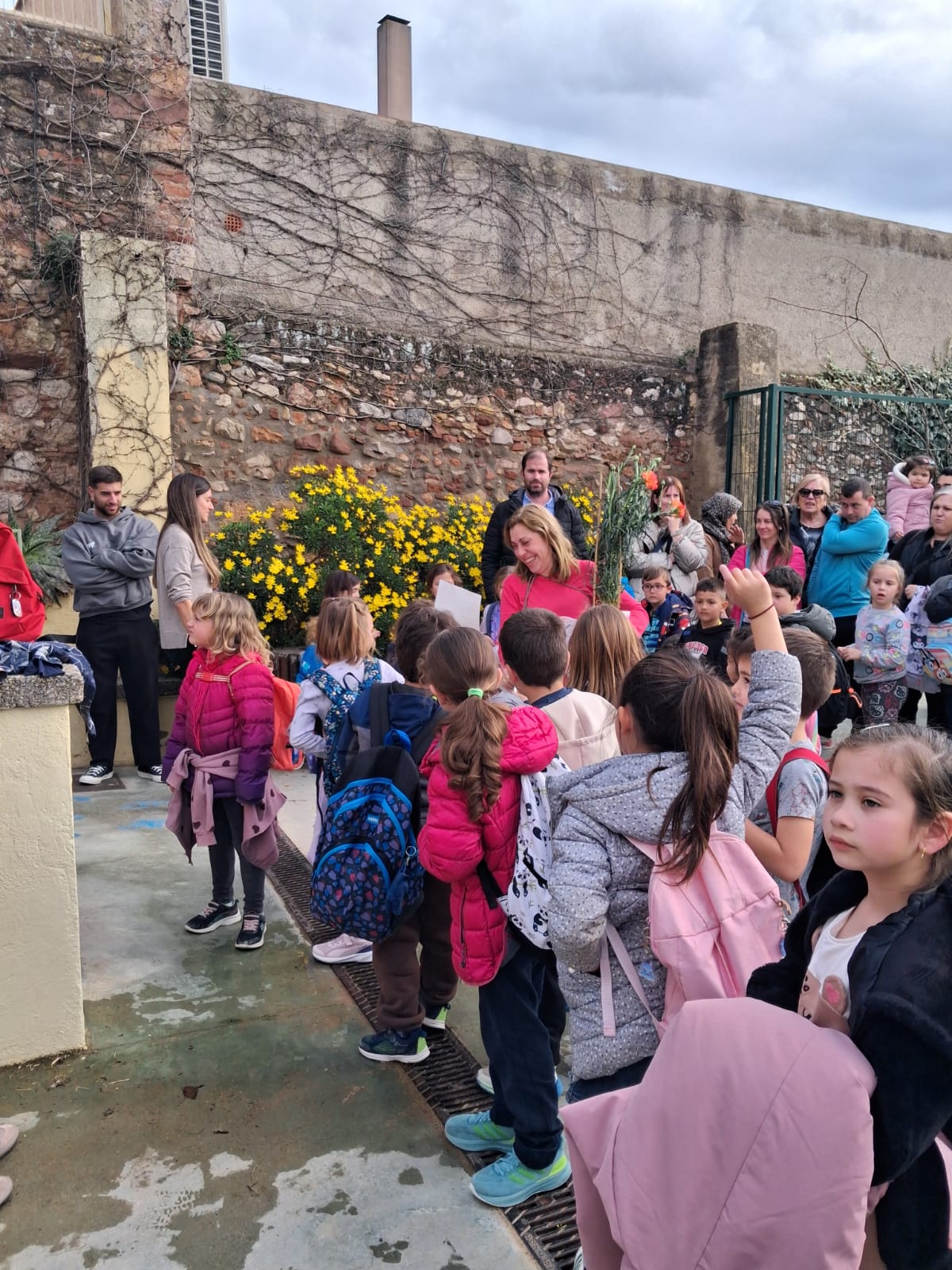 WhatsApp Image 2026-03-03 at 16.49.32