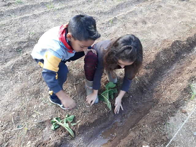 002da90c-2101-4378-875d-763b3a32c768